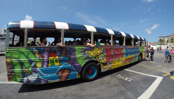 Cruise Line vs Independent Cruise Shore Excursions