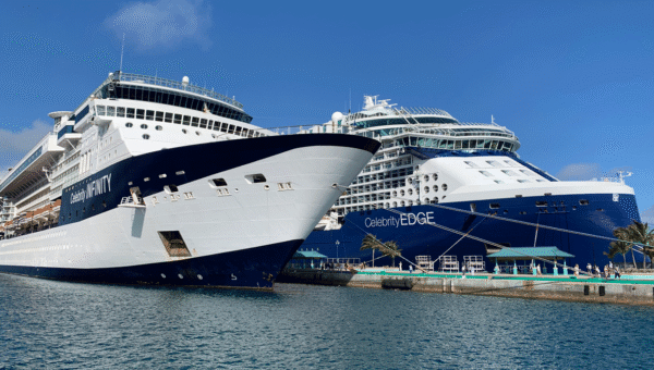 Cruise Industry Changes – Before Cruises Resume in 2020